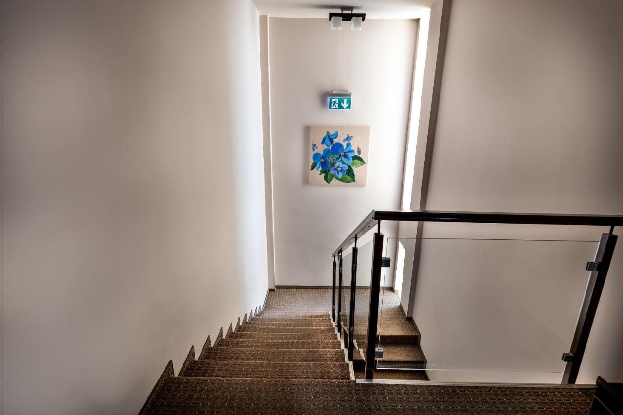 Pensiunea Violeta Giroc Bagian luar foto